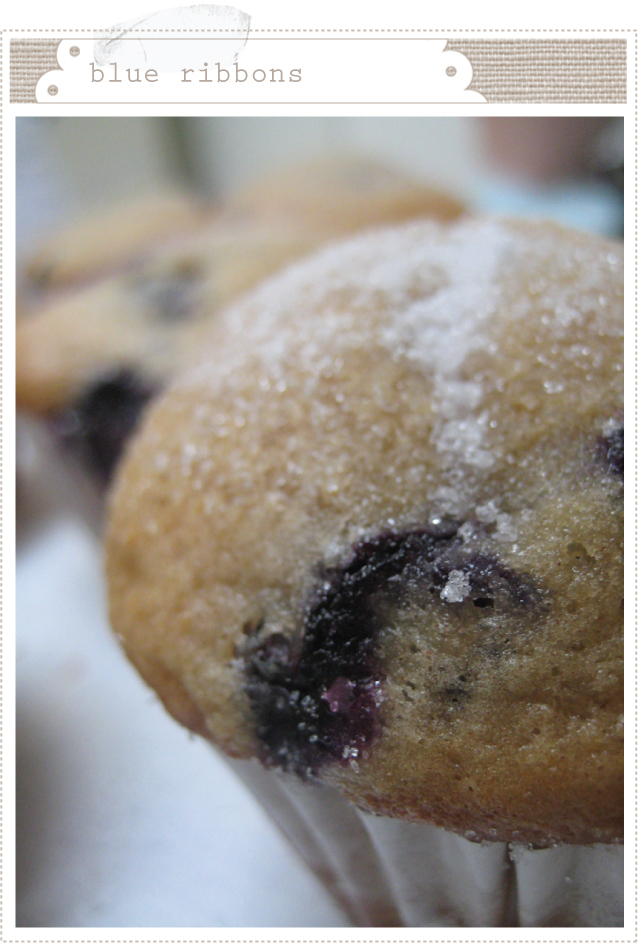 blueberry1