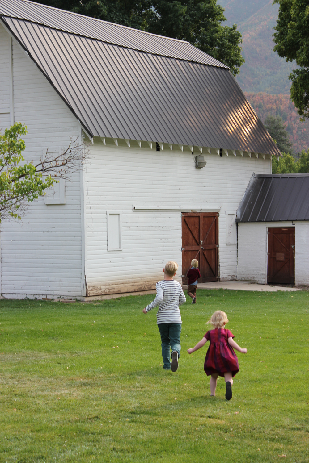 KidsJollysRanch5